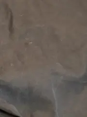 Vorschaubild 4 von Herren Cargohose Größe 54 Grün Praktisch Baumwolle