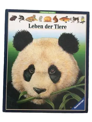 RAVENSBURGER Lernspiel