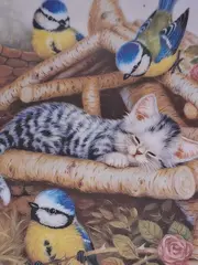 Vorschaubild 3 von Nickerlchen im Vogelhäuschen Wandteller Katze Vogel Keramik 21cm