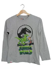 Vorschaubild 1 von Jurassic World Kinder T-Shirt Gr. 152 Grau Langarm Casual