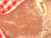 Vorschaubild 3 von Teddybär Baby Kuscheltier Uni Beige 12 cm