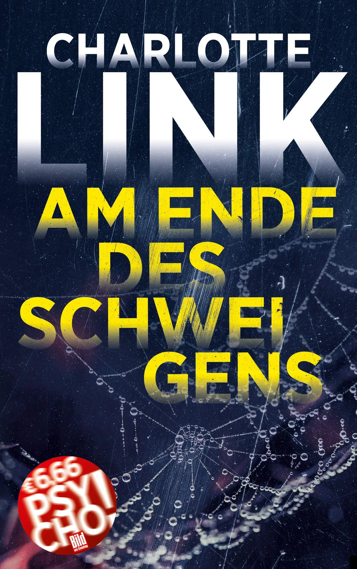 Am Ende des Schweigens von Charlotte Link Psychothriller Taschenbuch Deutsch