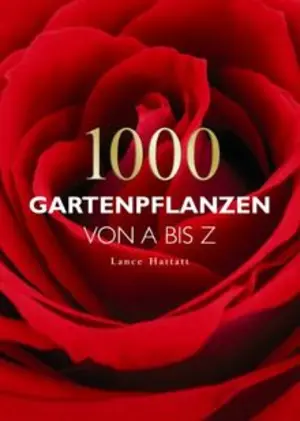 Hobbybuch