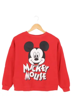 ZARA Sweatshirt
