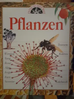 Sachbuch für Kinder