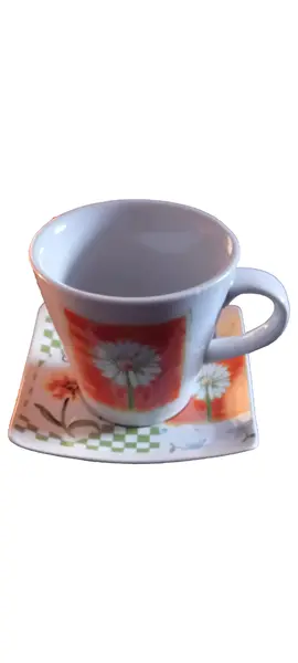 VIKING Tasse und Unterteller