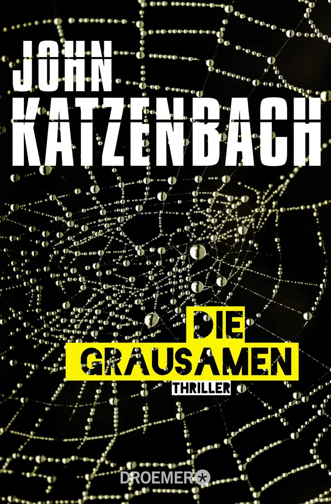 Thrillerbuch Bild 1