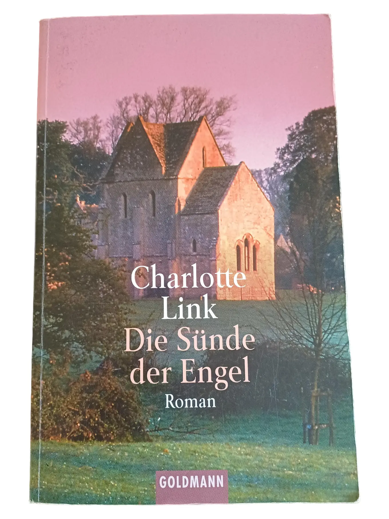 Charlotte Link Die Sünde der Engel Taschenbuch Gesellschaftsroman Bestseller