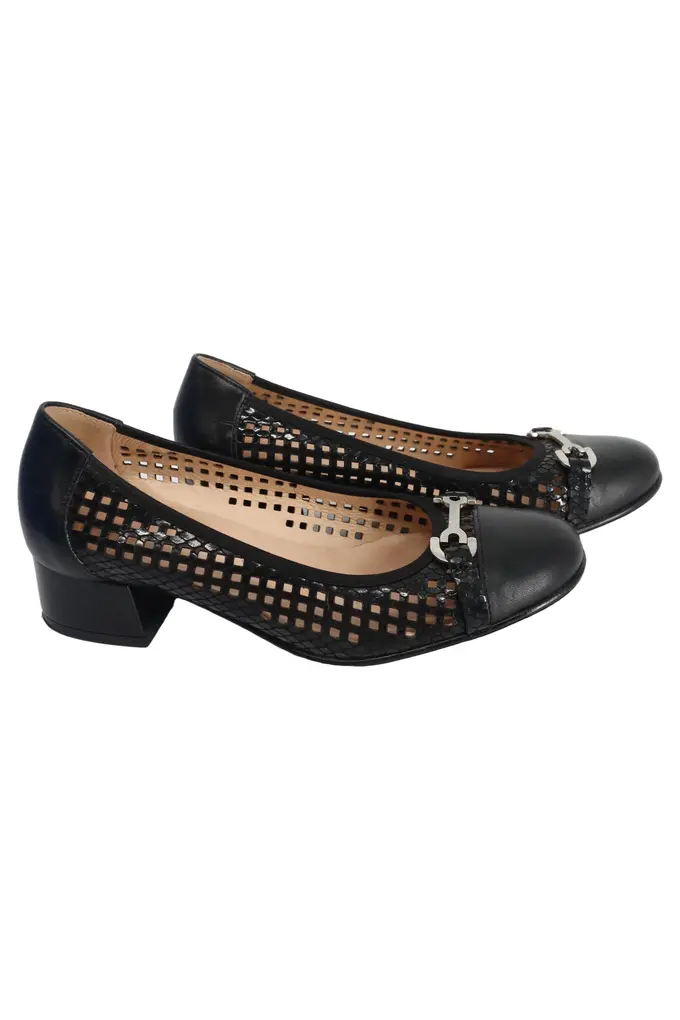 ALPINA Pumps Bild 1