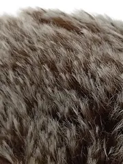 Vorschaubild 5 von Igel Plüschtier Kuscheltier Braun Naturbezogen 12cm