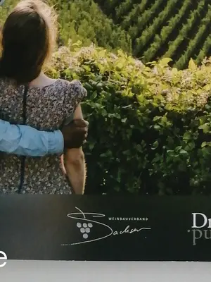 WEINBAUVERBAND SACHSEN Bild