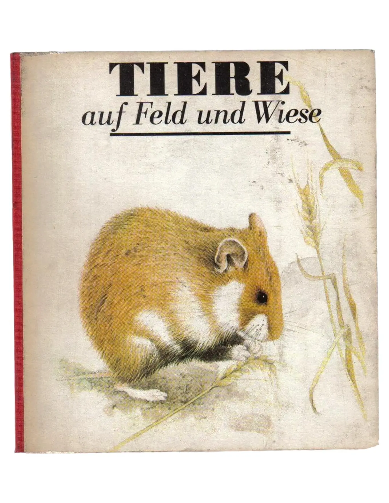 Tiere auf Feld und Wiese Sachbuch Hardcover Natur Tierwelt Illustrationen
