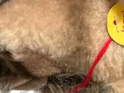 Vorschaubild 2 von Joggi Igel Greifling Kuscheltier Plüsch Braun 15cm