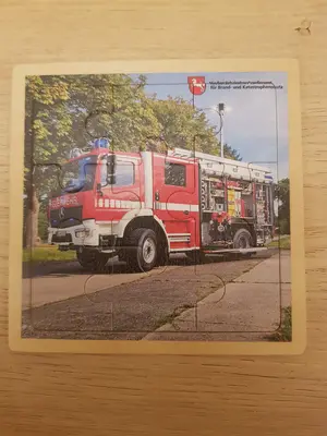 Steckpuzzle