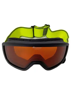 ALPINA Skibrille