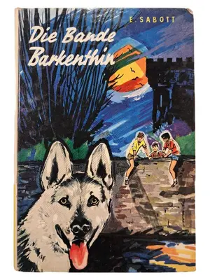 Buch für Jugendliche