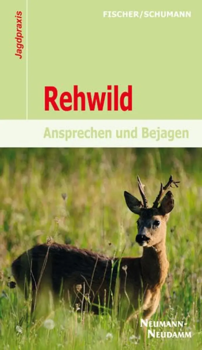 Allgemeines Sachbuch Bild 1