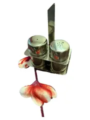 Vorschaubild 3 von Salz Pfeffer Streuer Set Edelstahl 18/8 Menage Modern Silber