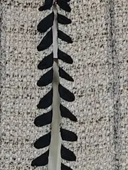 Vorschaubild 5 von MNG SUIT Damen Blazer Gr. 46 Mehrfarbig Elegant Strukturmuster