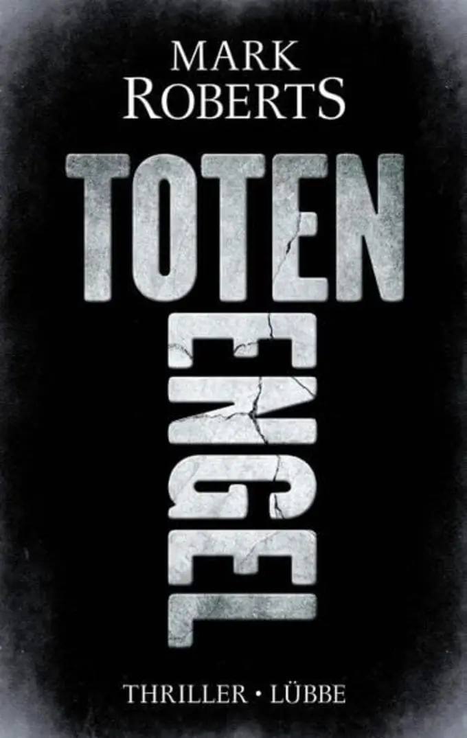 Thrillerbuch Bild 1