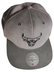 Vorschaubild MITCHELL & NESS Fan Basecap 1