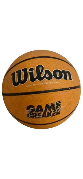 WILSON Basketball