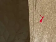 Vorschaubild 4 von Kinder Pullover Grau Gr. 176 Logo Print Sportlich Baumwolle Langarm