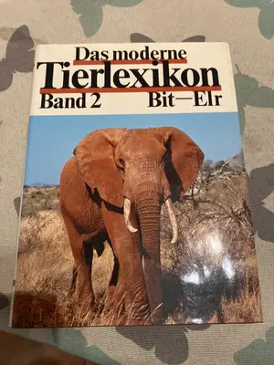 Allgemeines Sachbuch