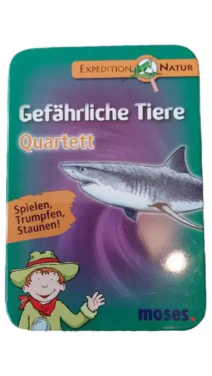 MOSES VERLAG Kartenspiel