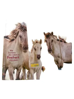 GEO LINO EXTRA Zeitschrift