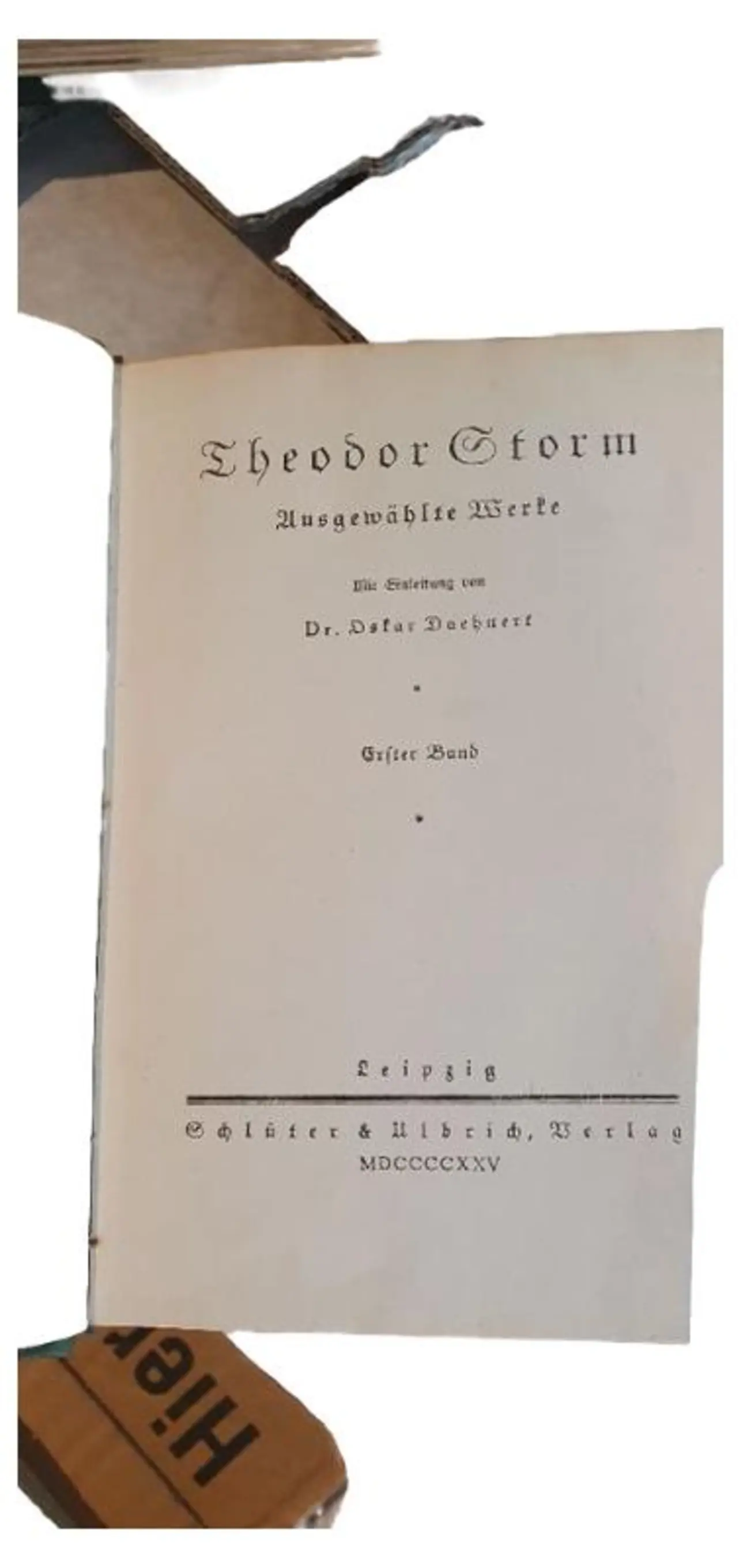 Theodor Storm Ausgewählte Werke 1. Band Gesellschaftsroman Taschenbuch Deutsch