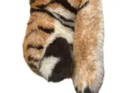 Vorschaubild 2 von Tiger Kuscheltier Plüschtier Animal-Print Mehrfarbig 21cm x 23cm