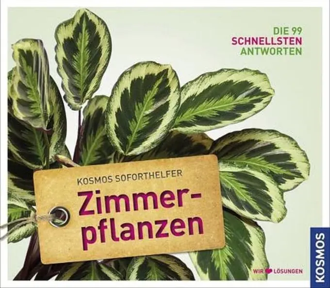 Allgemeines Sachbuch Bild 1