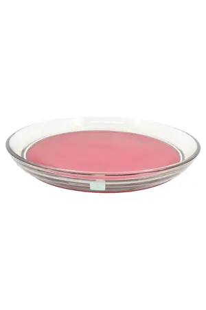 PARTYLITE Servierplatte