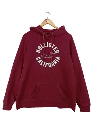 HOLLISTER Kapuzenpullover