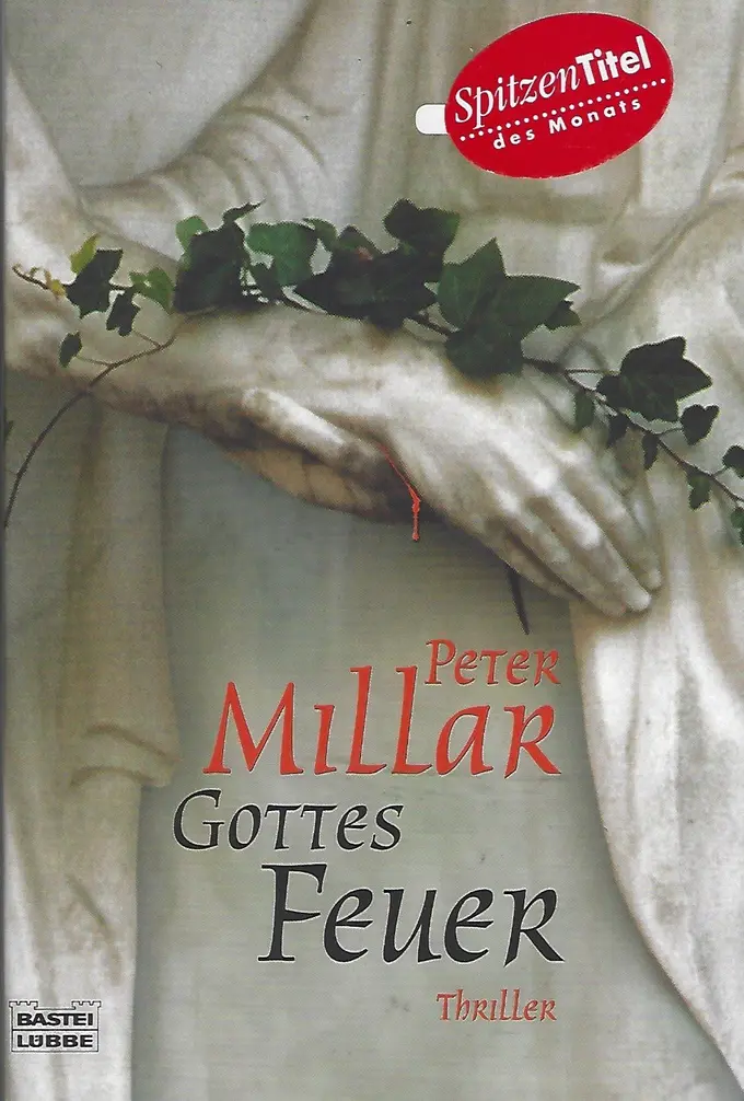 Thrillerbuch Bild 1