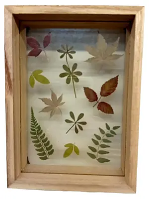 SASS & BELLE Bilderrahmen