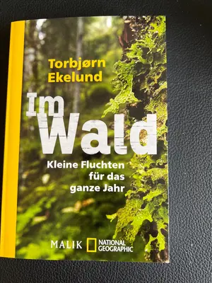 Allgemeines Sachbuch