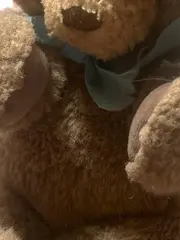 Vorschaubild 2 von Teddybär 92/1020 Baby Kuscheltier Uni Braun 20cm
