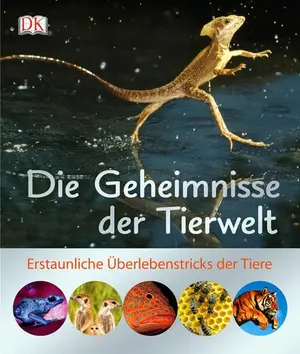 Sachbuch für Kinder