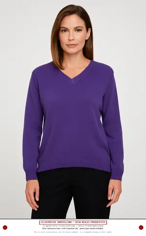 WORLD OF BASICS Pullover