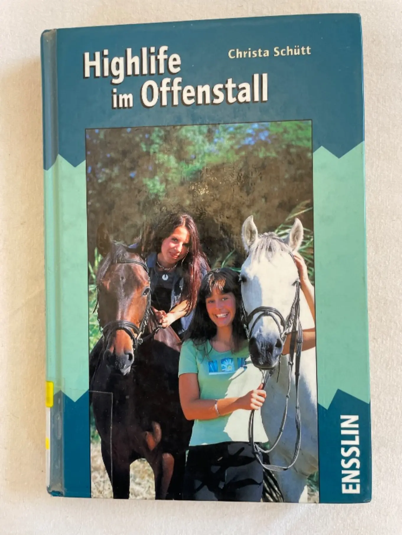 Highlife im Offenstall Christa Schütt Jugendbuch Hardcover Pferde Freundschaft