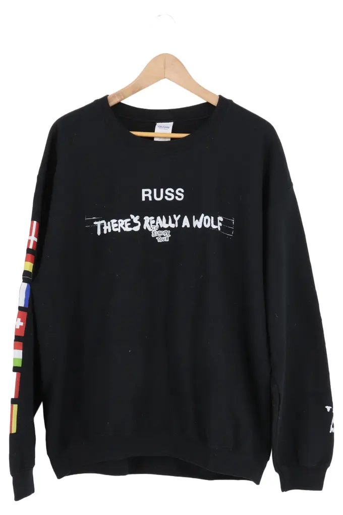GILDAN Sweatshirt Bild 1