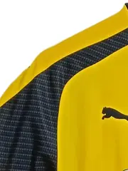 Vorschaubild 3 von Borussia Dortmund Fußball Trikot Kinder 176 Gelb Sportlich Evonik