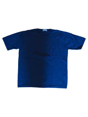 PETER HAHN T-Shirt
