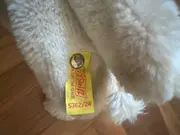 Vorschaubild 3 von Hase 5362/24 Baby Kuscheltier Plüschtier Uni Beige 15cm