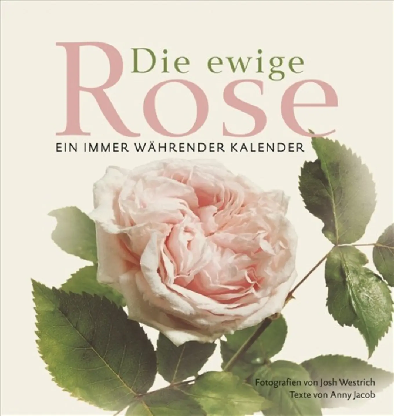 Die ewige Rose Bildband Josh Westrich Anny Jacob Deutsch Hardcover
