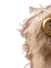 Vorschaubild 5 von Club Teddybär 2019 Mohair Knopf im Ohr 12cm Braun NEU OVP