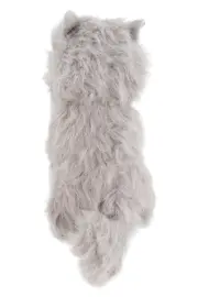 Vorschaubild STUFFLE Kuscheltier 2