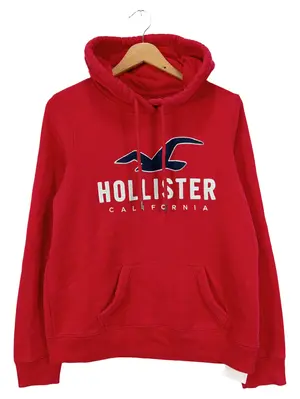 HOLLISTER Kapuzenpullover